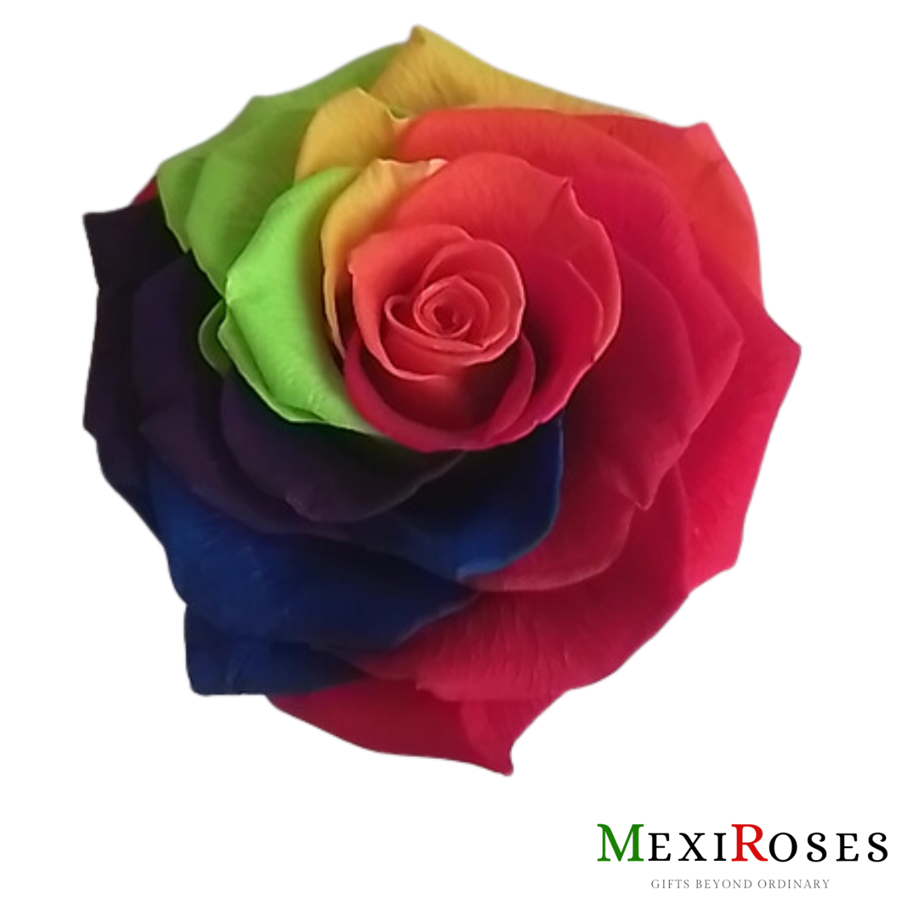 Combo  Rosa Jumbo 12 - Belleza de colores