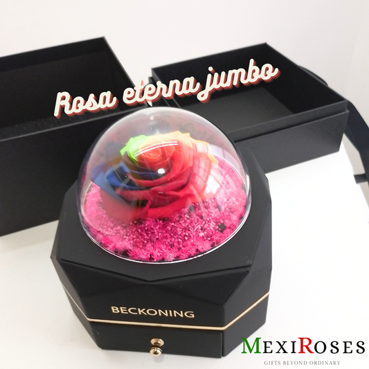 Sublime Rosa Jumbo 5 - Elegancia y alegria