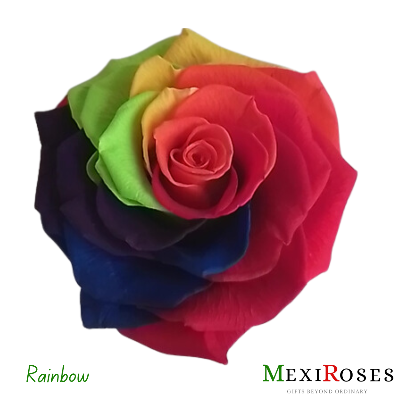 Sublime Rosa Jumbo 5 - Elegancia y alegria